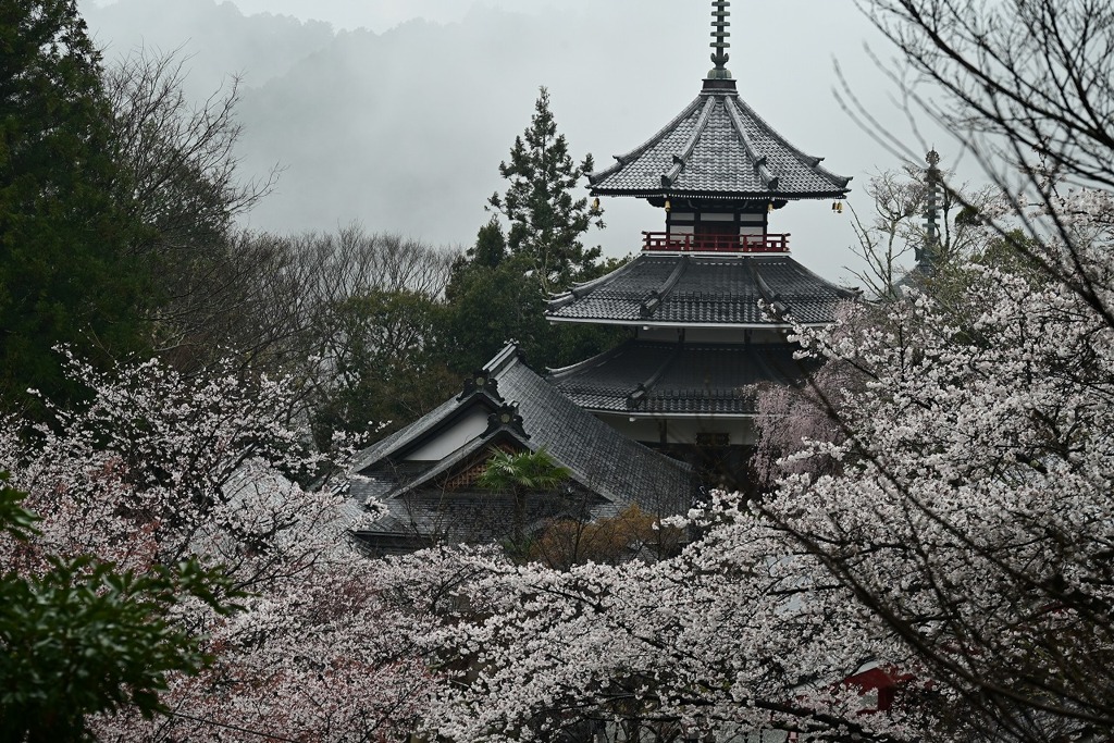 金峯山寺境内