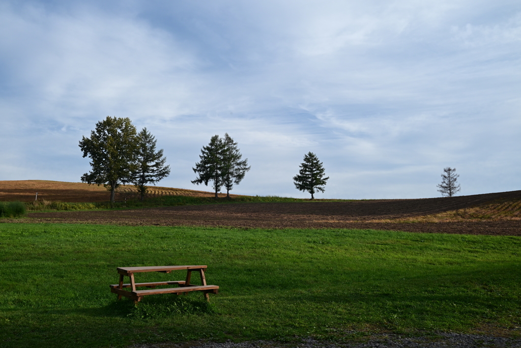 ブラウマンの空庭