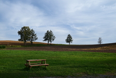 ブラウマンの空庭