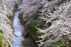 4-佐保川