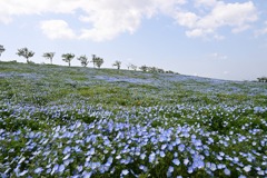 まいしまシーサイドパーク