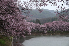 2-六道の堤