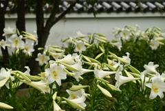 城址公園