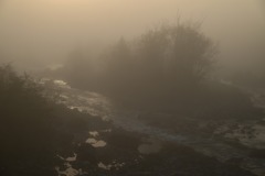 松川の光霧