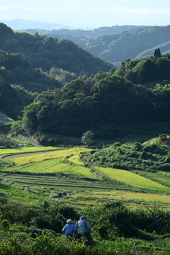 山間部に生きる