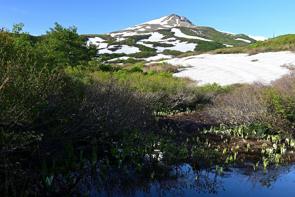 鳥海山と残雪