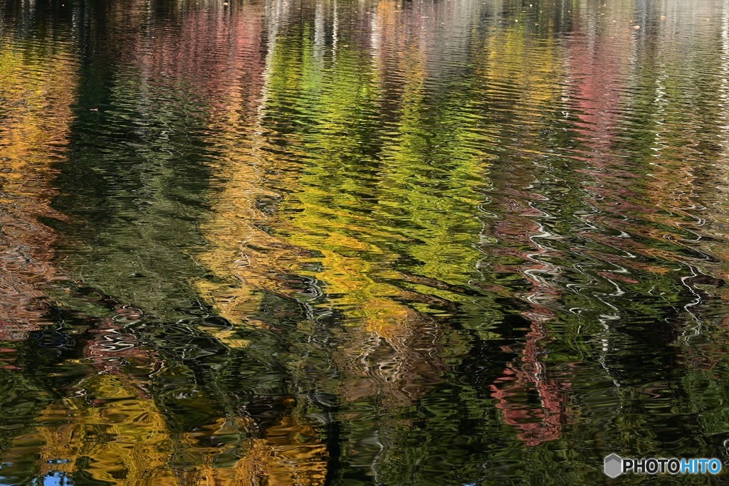 湖面の秋