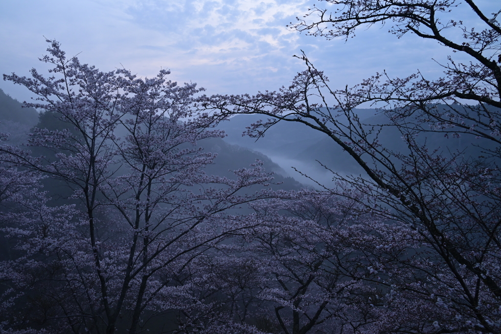 1-三休公園