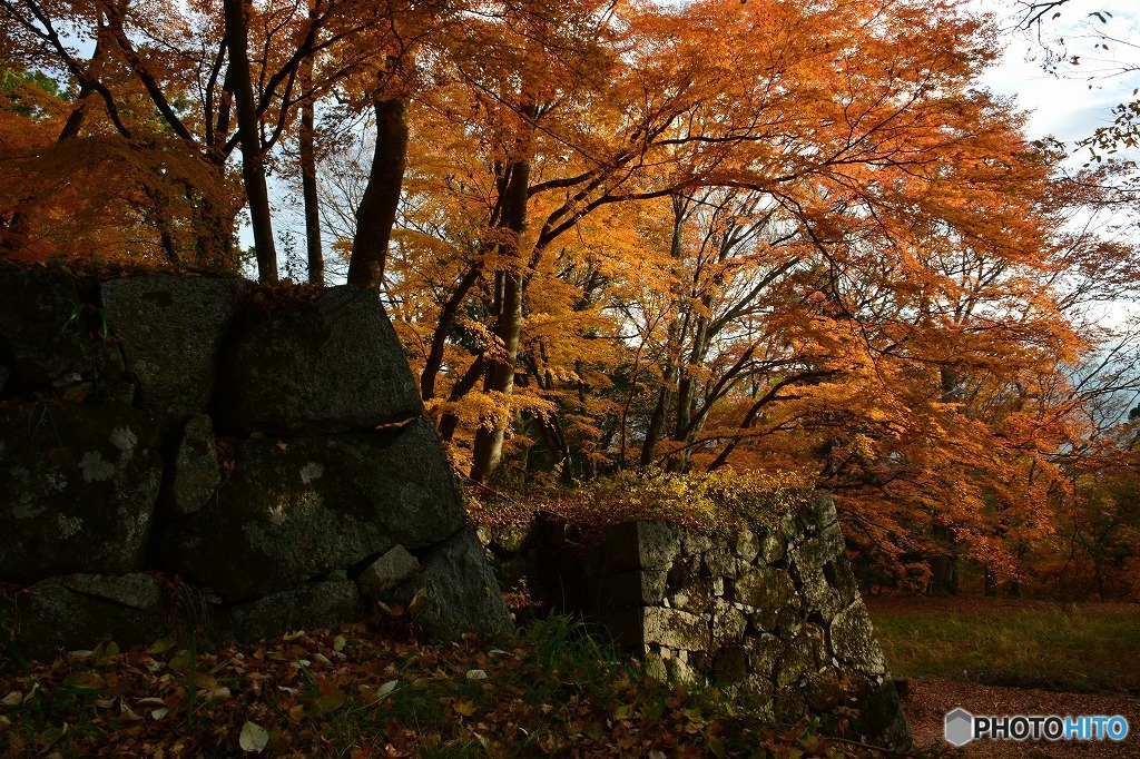 城跡に紅葉