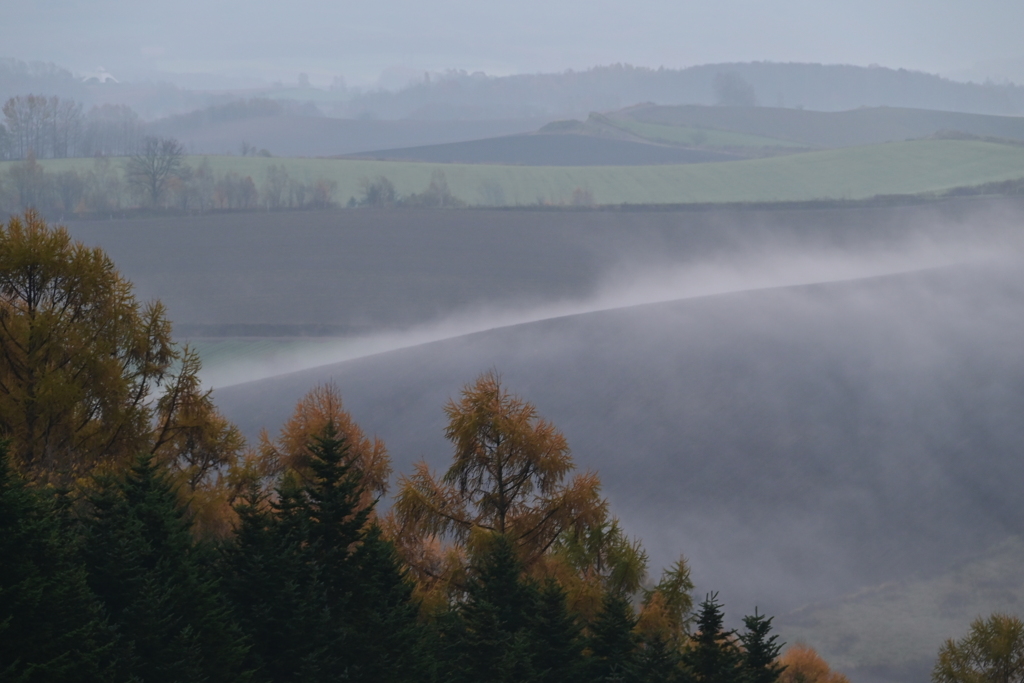 11月の五稜の丘