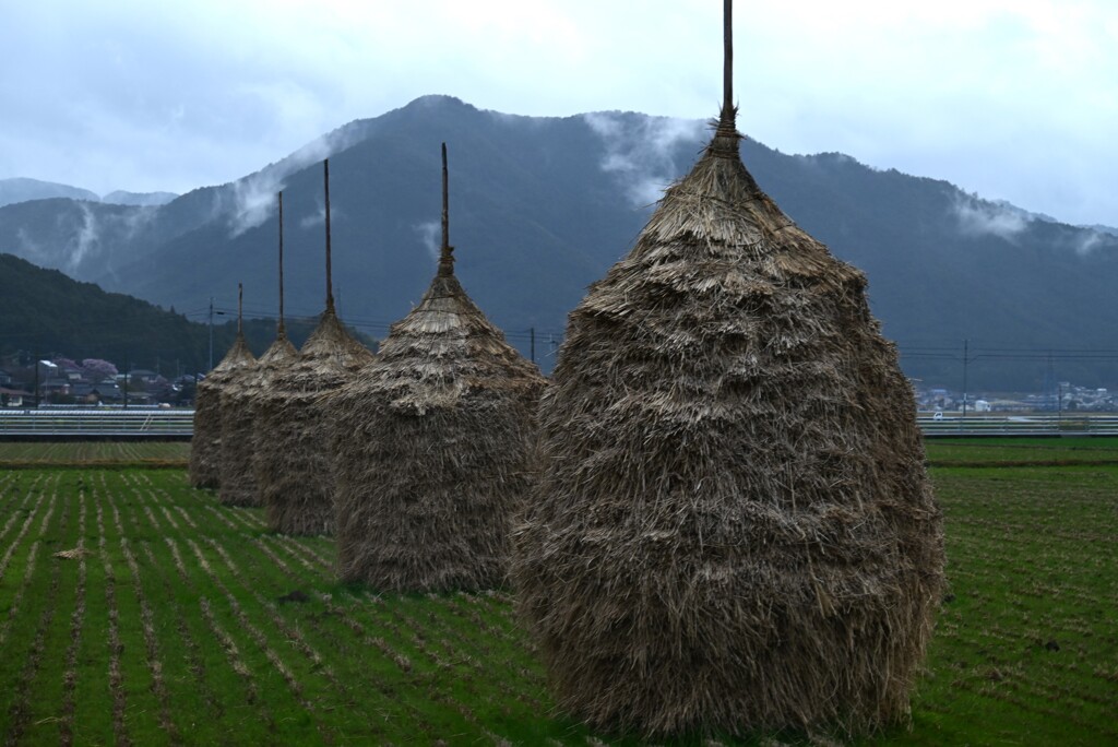 田園のわらぐろ