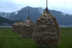田園のわらぐろ