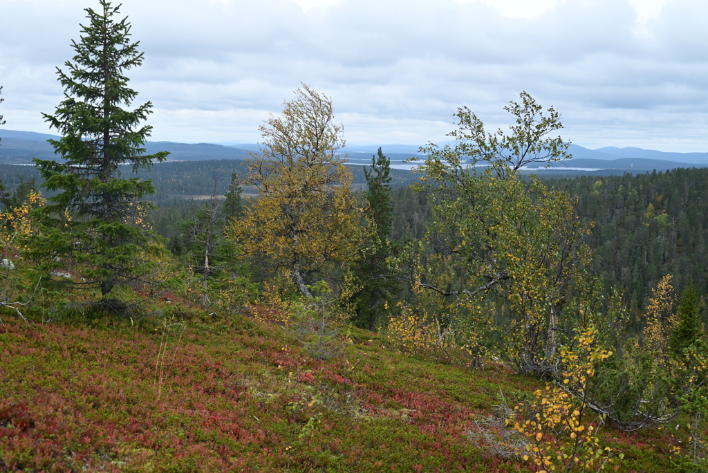トレッキング中