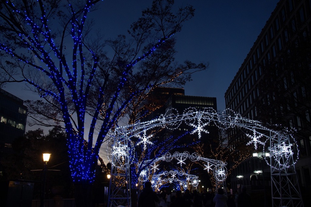 中の島イルミネーション