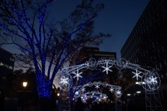 中の島イルミネーション