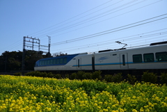 特急しまかぜ