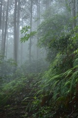 熊野古道小辺路