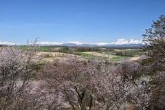 深山峠から