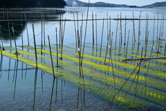 浜島・迫子浦