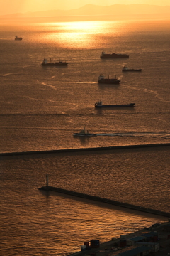 光る海