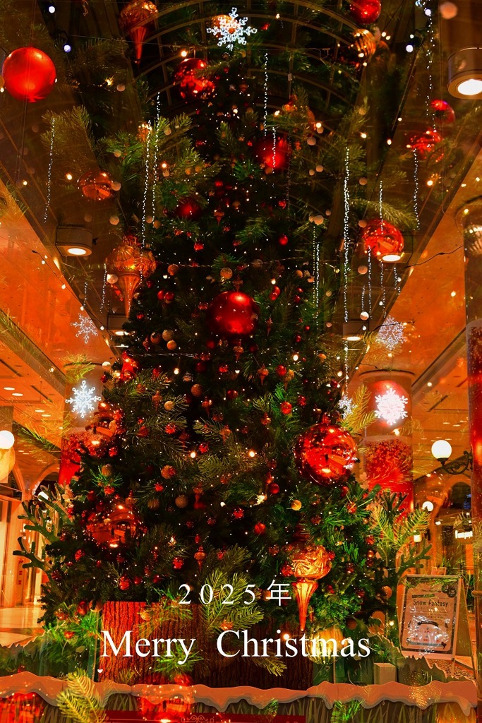 2025 クリスマス