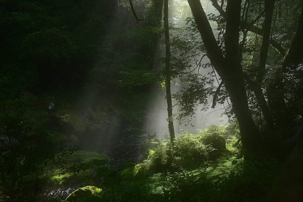 渓谷の光芒