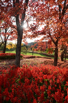 秋色の由仁ガーデン