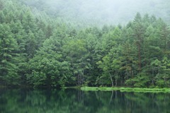 新緑の御射鹿池