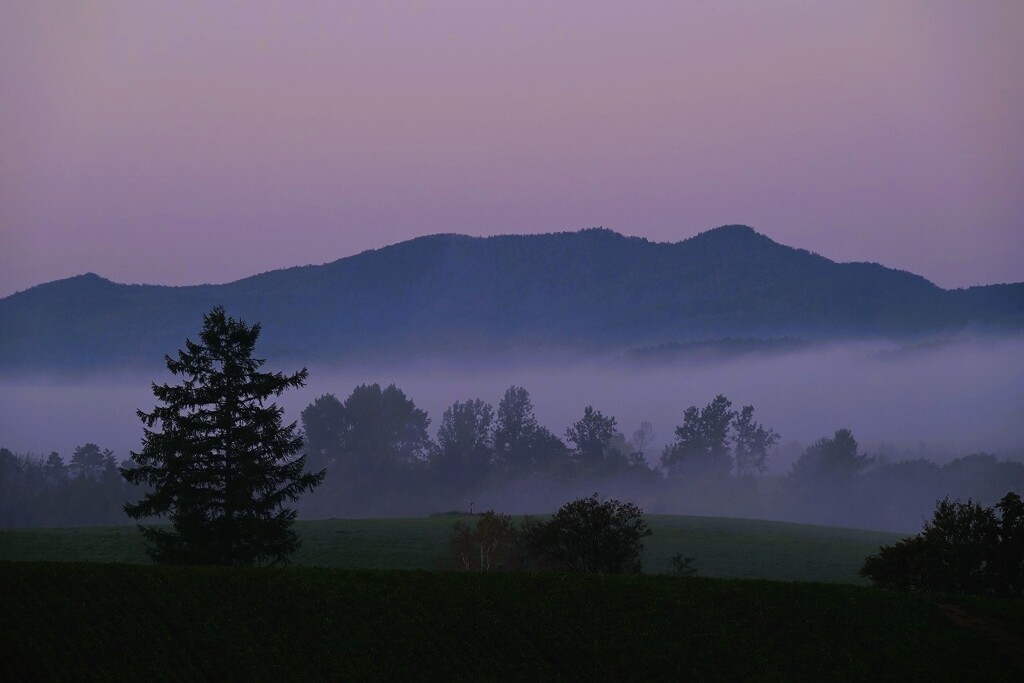 空が染まり始める