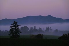 空が染まり始める