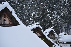 美山かやぶきの里