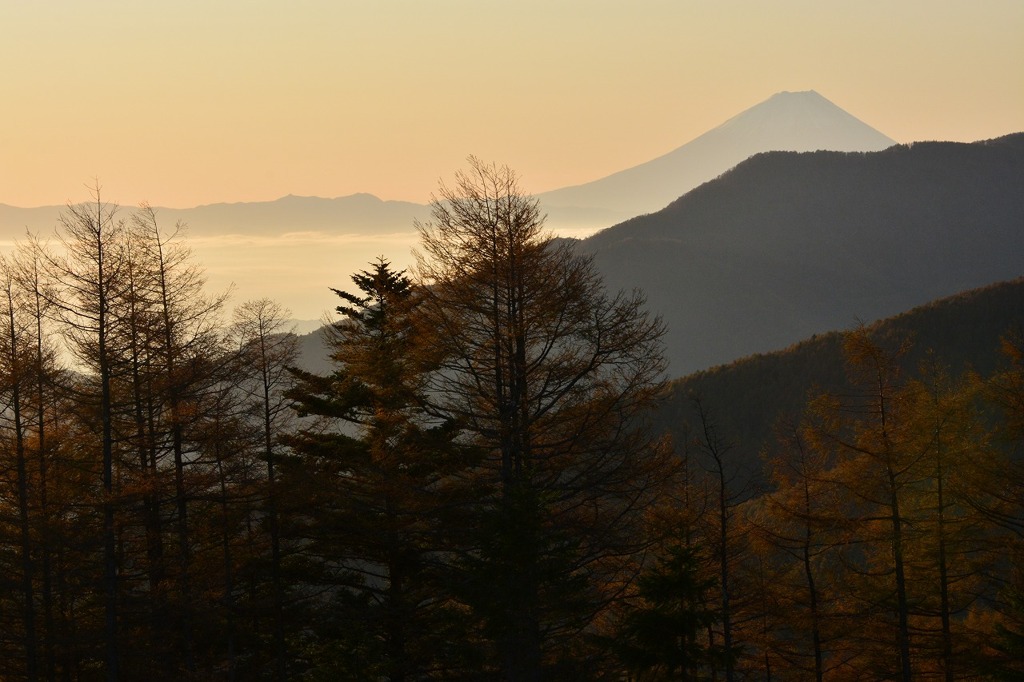富士山と紅葉