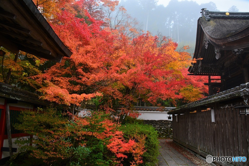 鍬山神社