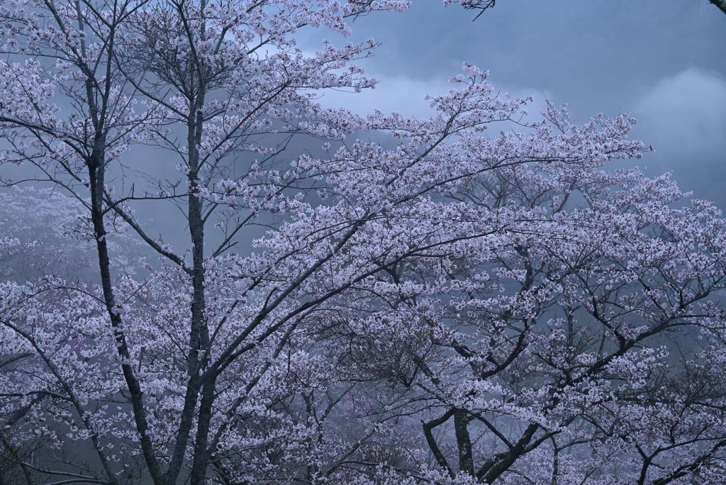 2-三休公園