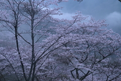 2-三休公園