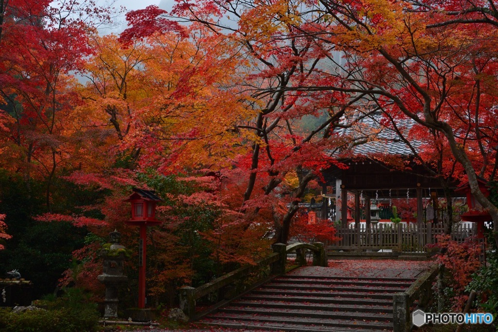 晩秋の鍬山神社