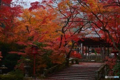 晩秋の鍬山神社