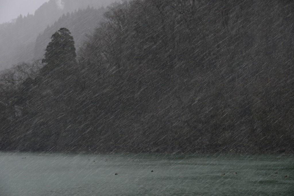 庄川峡・霰降る