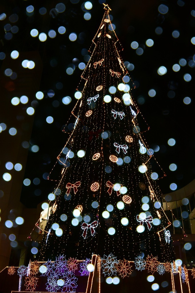 2023メリークリスマス