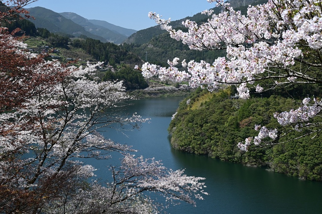 2-大渡ダム公園