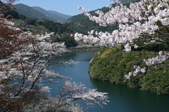 2-大渡ダム公園