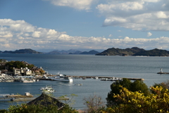 医王寺からの眺め