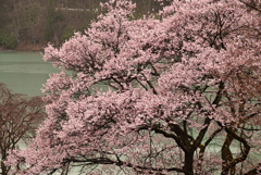 2-高遠ほりでいパーク
