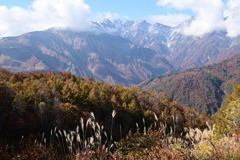 白馬マウンテンハーバー