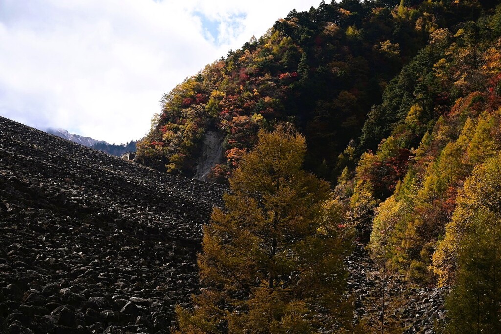 高瀬ダム下から