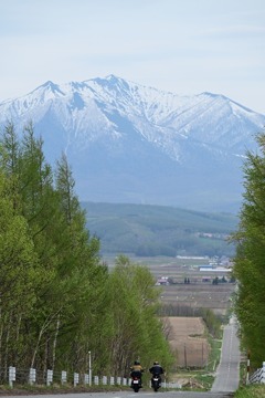 ジェットコースターの道