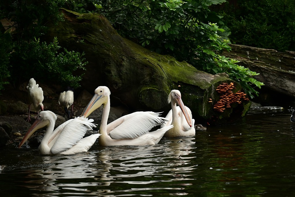 ちょっと休憩中