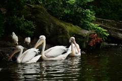 ちょっと休憩中