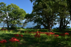 1-桂浜園地