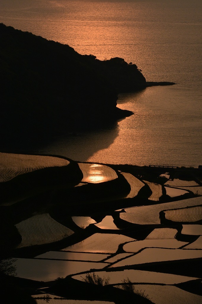 棚田と夕景